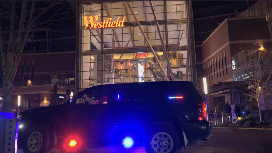 Chaos at Westfield Southcenter: a day at the movies or a day of tragedy?