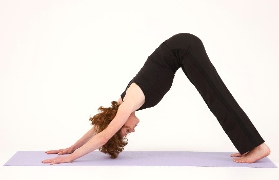 Image of downward facing dog