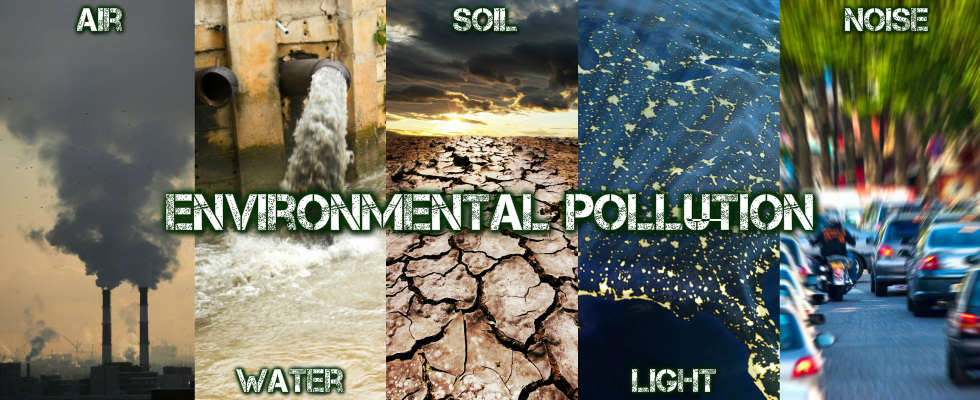 Environmental Pollution image