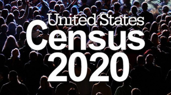 LGBT and citizenship in the 2020 census