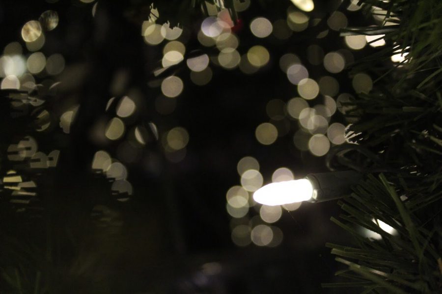 Holiday+lights