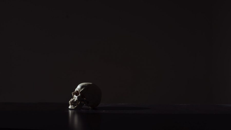 What happens to your body after you die?