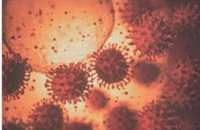 Outbreak of the Betacoronavirus