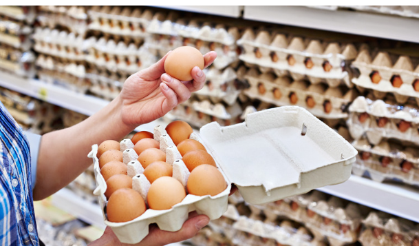 How has the Bird Flu Affected the Price of Eggs?