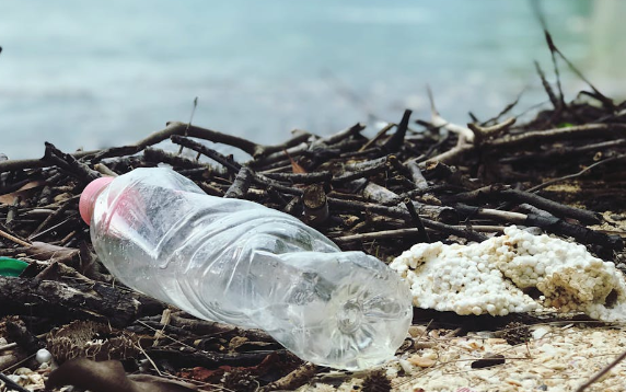 Photo of trash found near a lake. 
(Photo by Catherine Sheila from Pexels: https://www.pexels.com/photo/close-up-photo-of-plastic-bottle-2409022/)