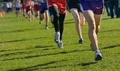 Picture of cross-country runners running.