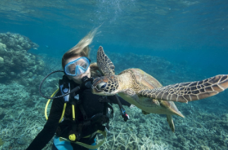 Photo of a scuba diver / marine biologist with a turtle.